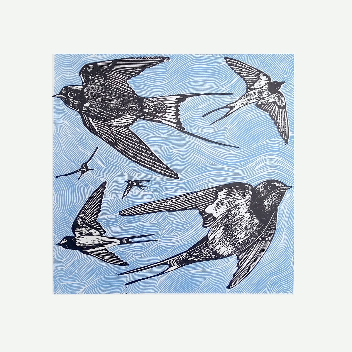 High flyers - Swallows linoprint by Carolynne Coulson