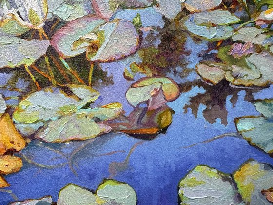 Summer pond.