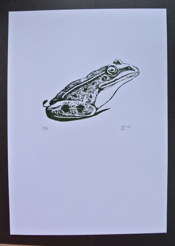 Frog Linoprint,  Print on Paper