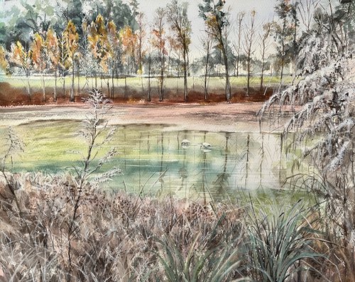 Florida Pond by Yoshiko Murdick