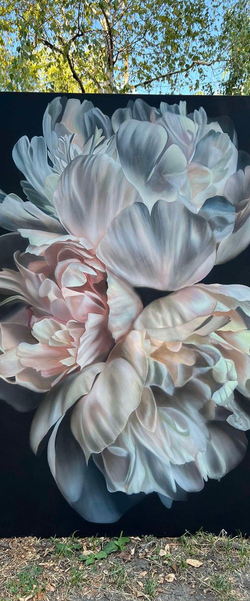 Peonies by Svitlana Brazhnikova