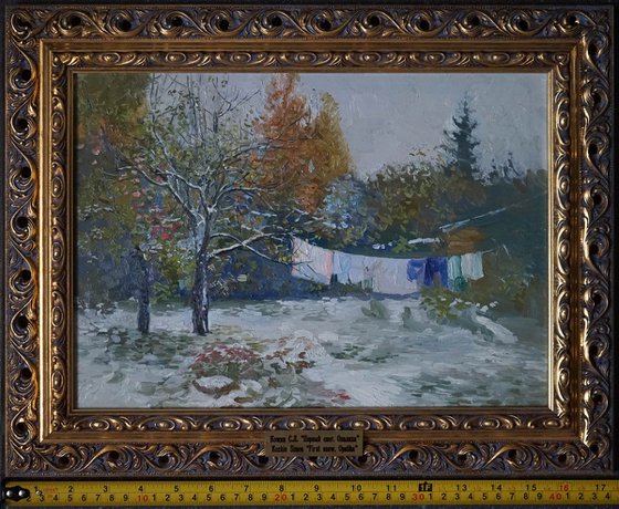 Opalikha. First snow