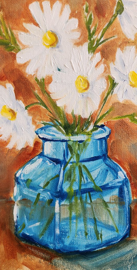 "Glowing in the Sunshine" - Daisies - Flowers