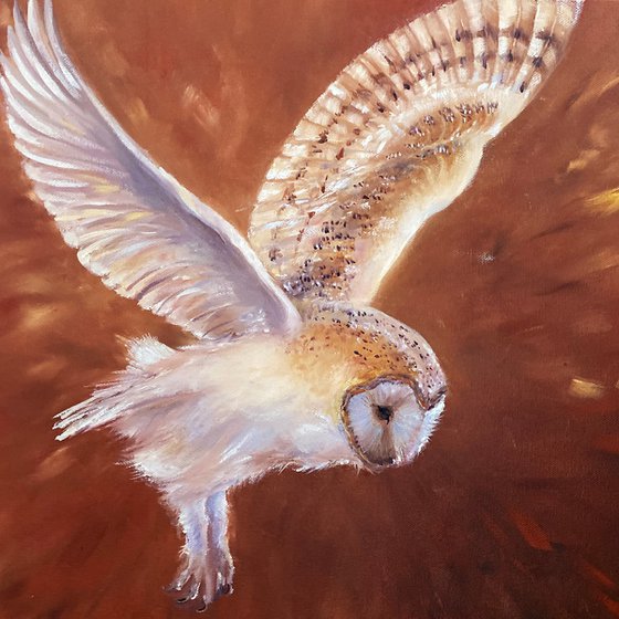 Twilight's Grace_ Barn owl