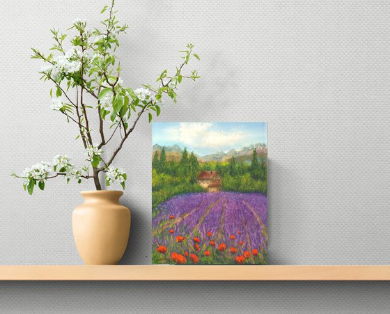 Lavender field