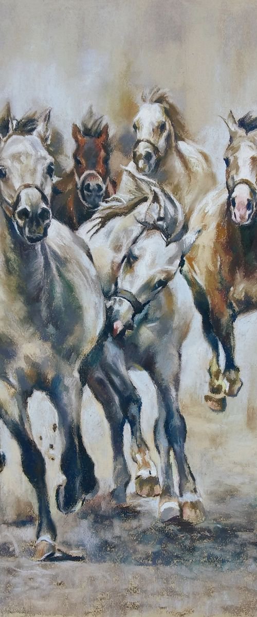 Gallop by Magdalena Palega