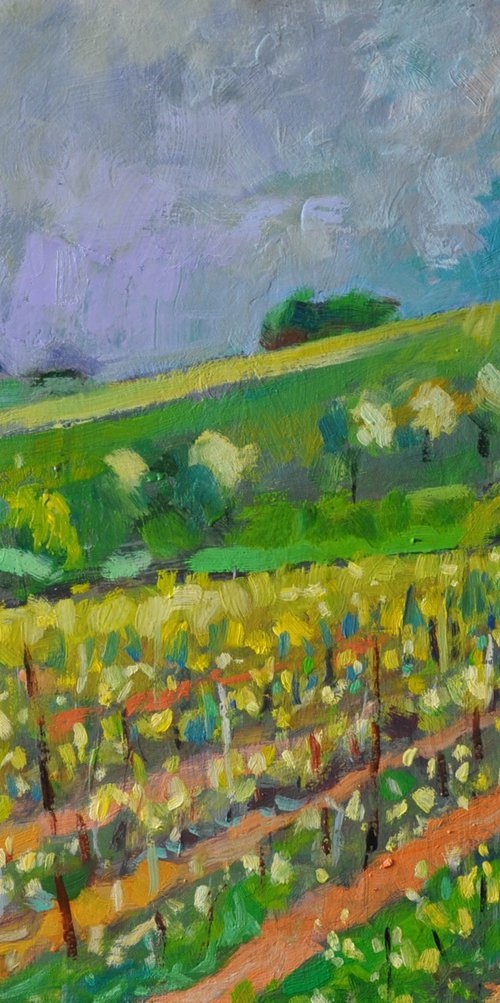 Vineyard in West Sussex. by Andre Pallat