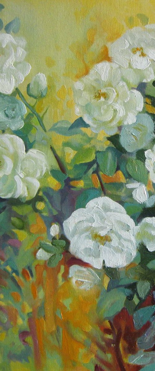 White roses - floral art by Elena Oleniuc