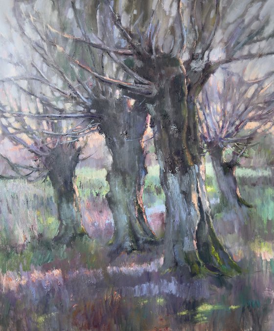 Light of the Lilac Morning