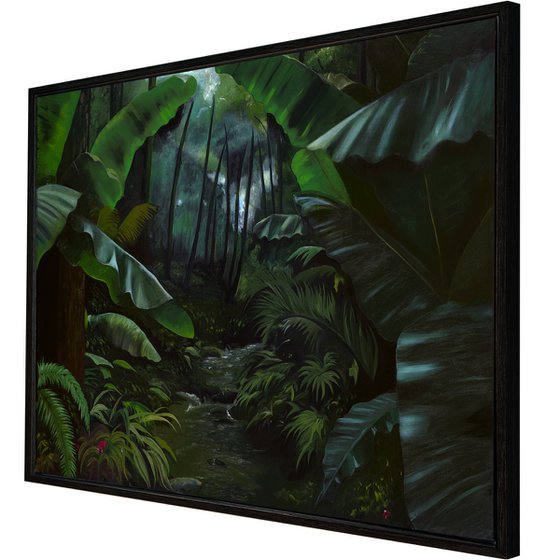 Light Through the Rainforest