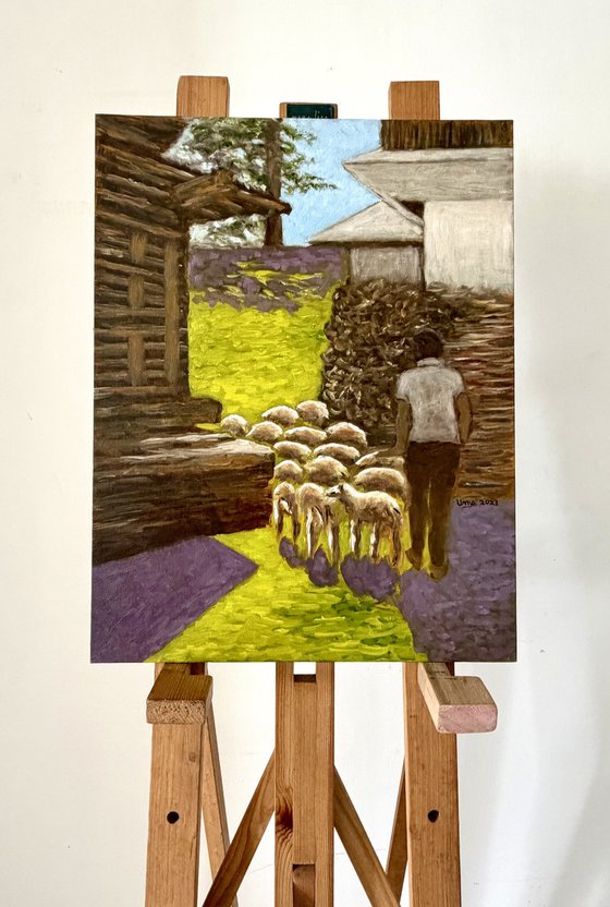 Sheep being taken to graze