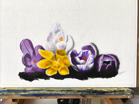 Crocuses