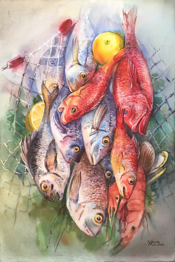 Dorado and perches. Watercolor fish.