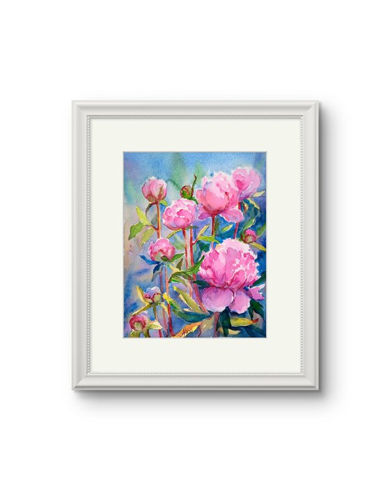 Peonies flowers