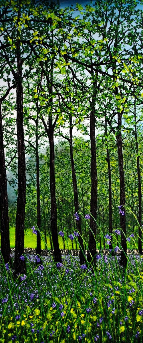 Spring Time In The Woods by Hazel Thomson