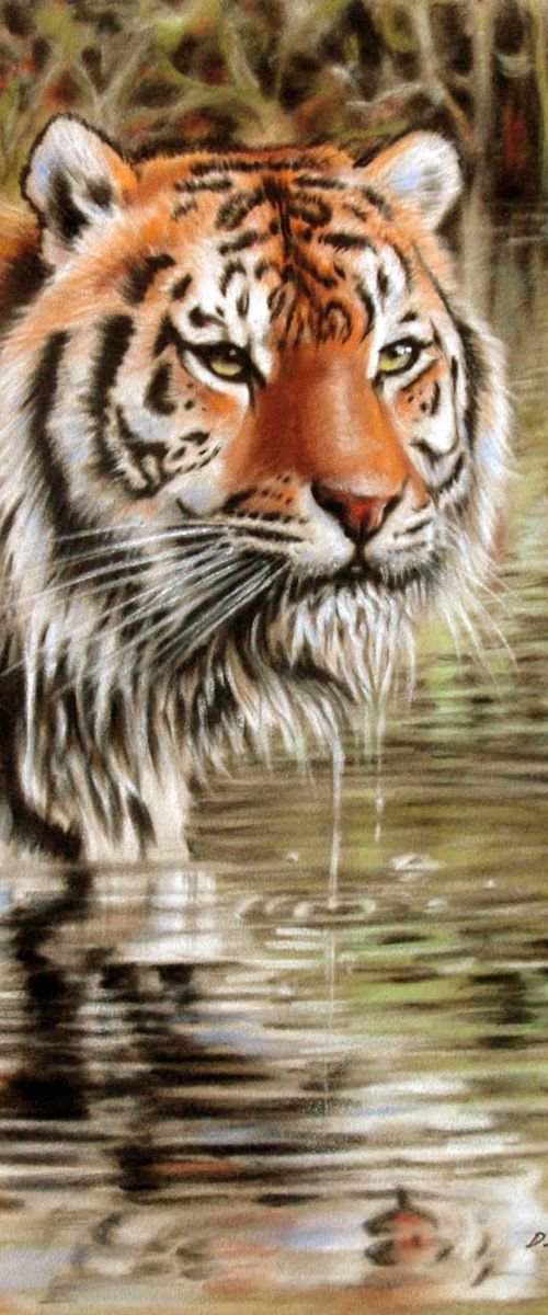 Tiger in water by Danguole Serstinskaja