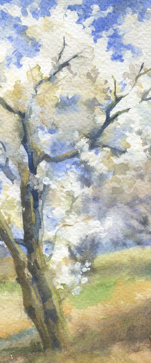 Flowering orchard / White trees and blue sky Spring watercolor sketch by Olha Malko