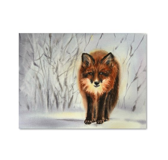 Fox in the snow