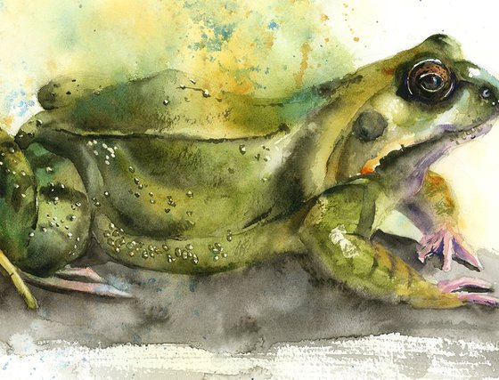 Frog - Original Watercolor Painting