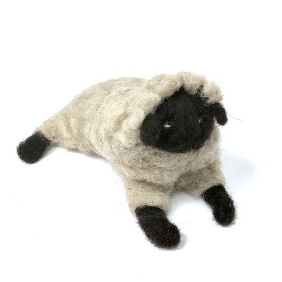 Black-headed sheep, wool