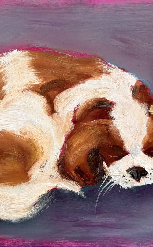 Afternoon Nap by Anja Rudko