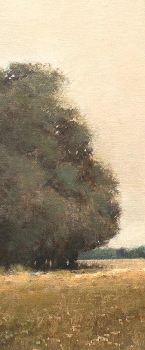 Summer Trees 122215, Tonal landscape and trees impressionist oil painting by Don Bishop