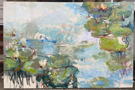 Lily-pond. Reflections.