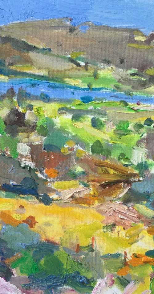 Little Irish Landscape Plainair work by Lana Verdi