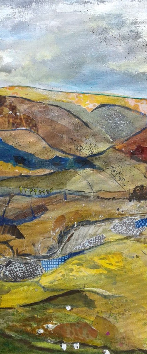 Hills with sheep by Fiona Plaisted