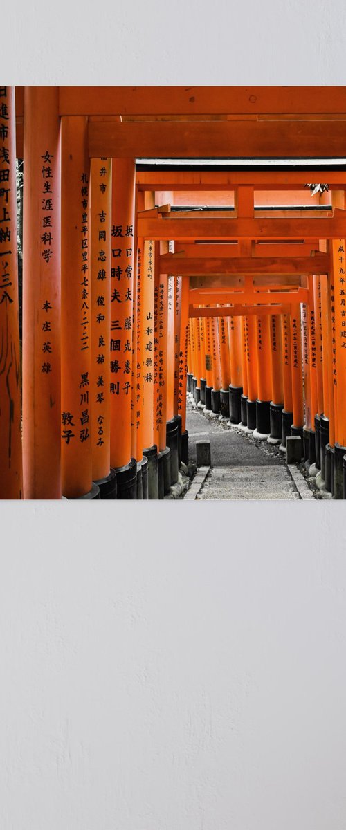 JAPAN TORII - XLarge Edition by Fabio Accorrà