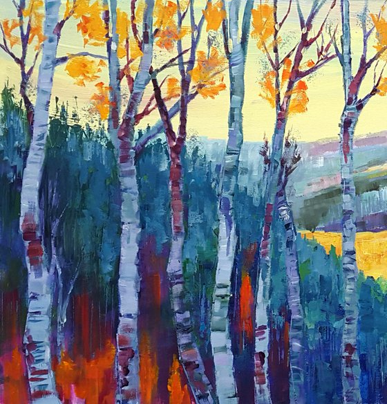 A Sunny Day In The Mountain