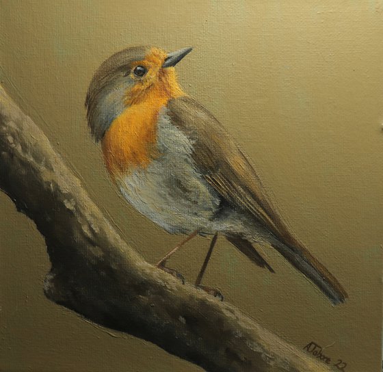 Robin Painting Bird Artwork