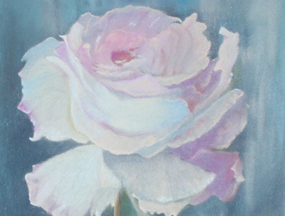Rose blush