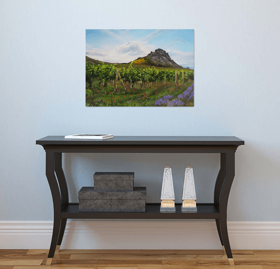 Vineyards and Lavender Fields