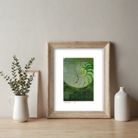 Nautilus Shell Collection 21