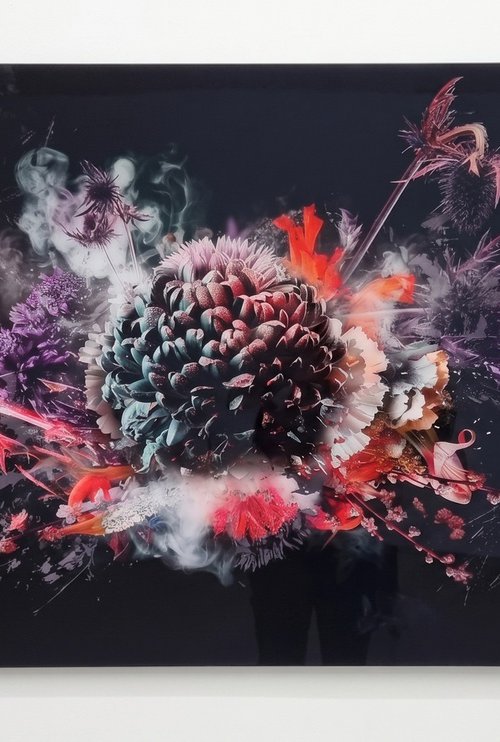 Bouquet x [Studio Clearance] by Teis Albers