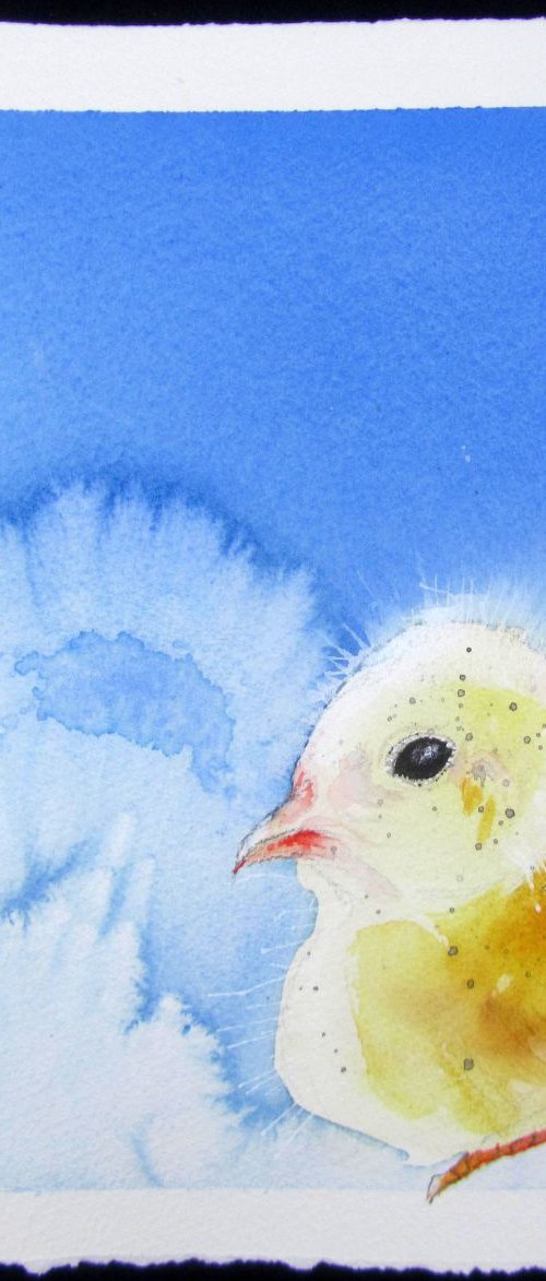 Just a Little Chick by Violeta Damjanovic-Behrendt