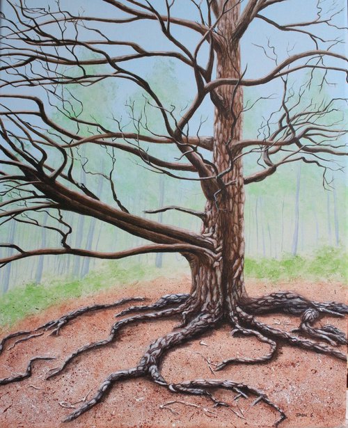 Scots Pine by Jadu Sheridan