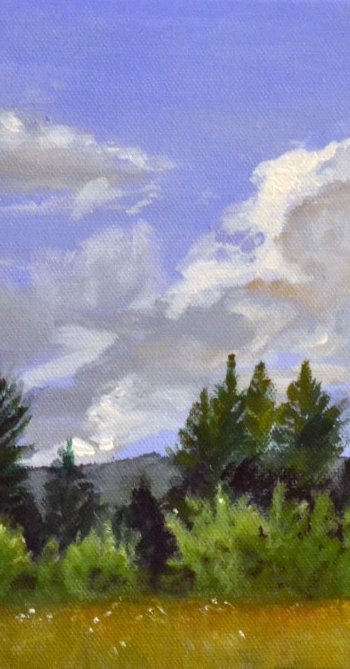 Clouds Over Lace by Mary Chant