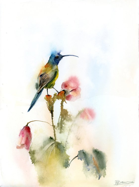 Green Hummingbird and flower