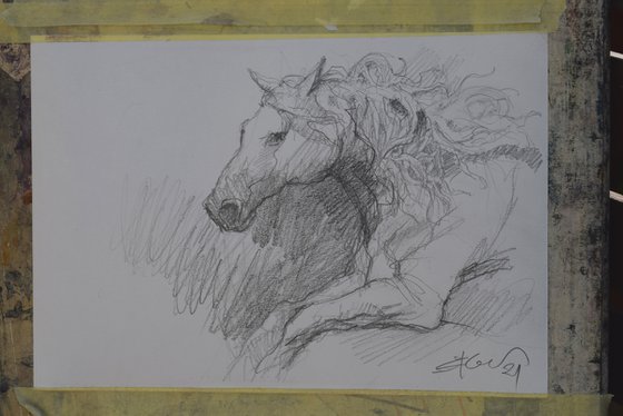 Running horse