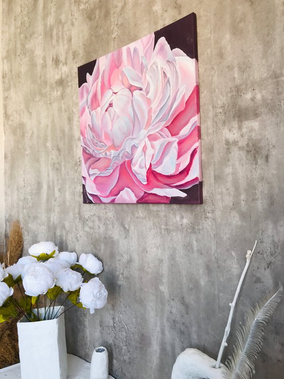 Pink peony