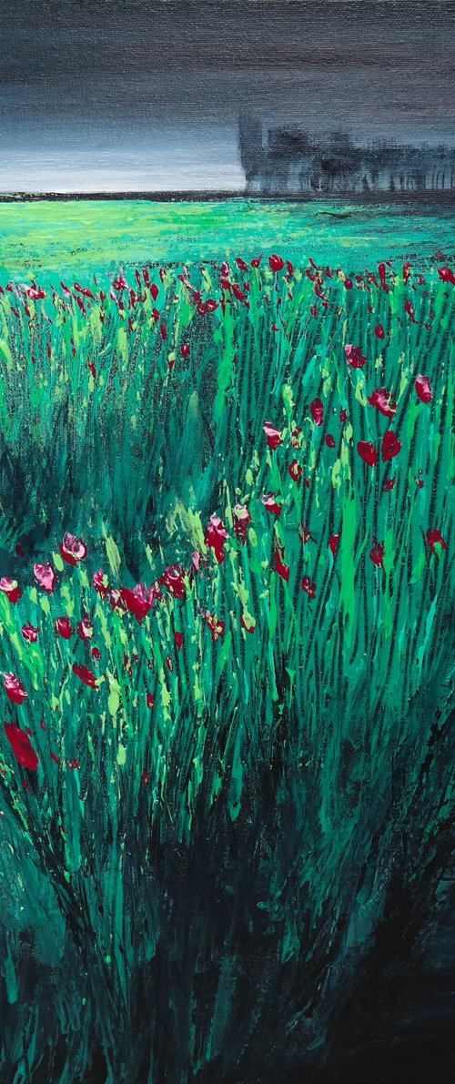 Poppies  - Fields and Colors Series by Danijela Dan