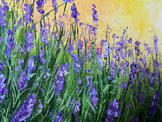 Lavender Dream