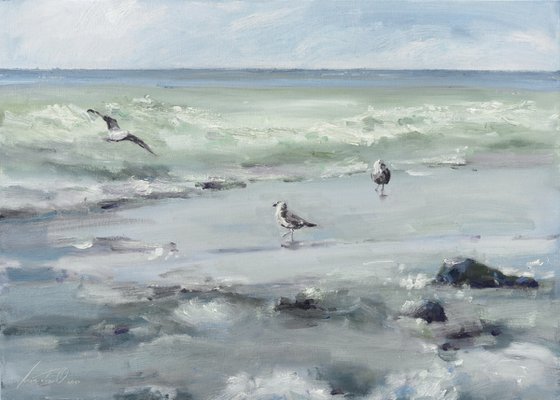 Seagulls on the sea