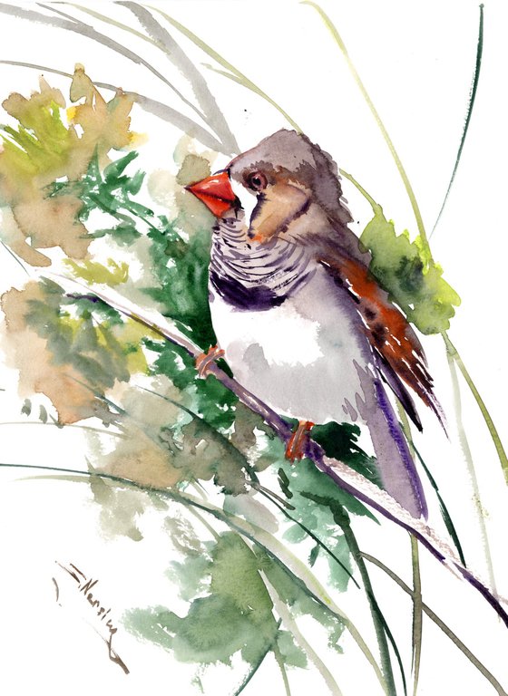 Zebra Finch and Flowers, Bird artwork