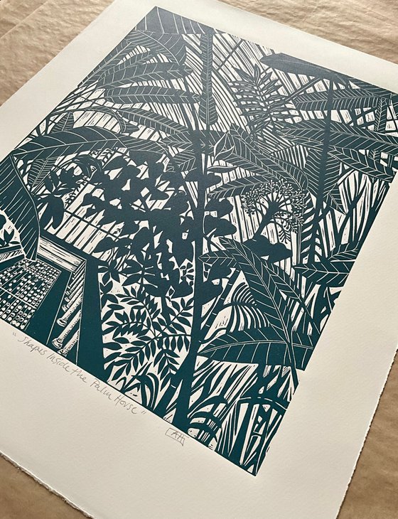 Shapes Inside the Palm House