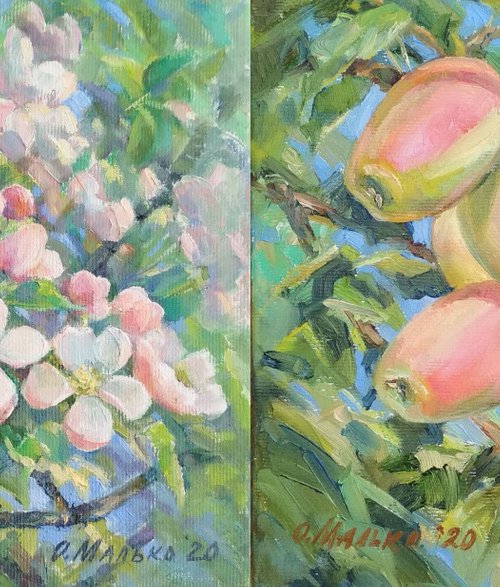 Two seasons. Blooming and reaping / Apple tree flowers and fruits. Spring and fall. Original art work by Olha Malko