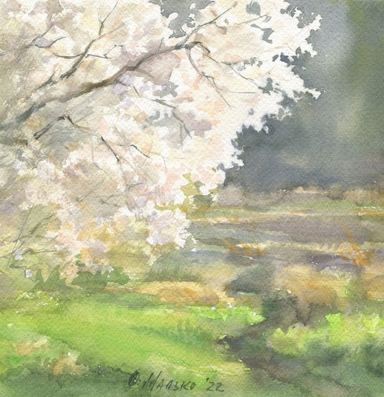 Blossoming tree. Shining / Original watercolor Cherry blossom view Outdoor paintings Gift picture