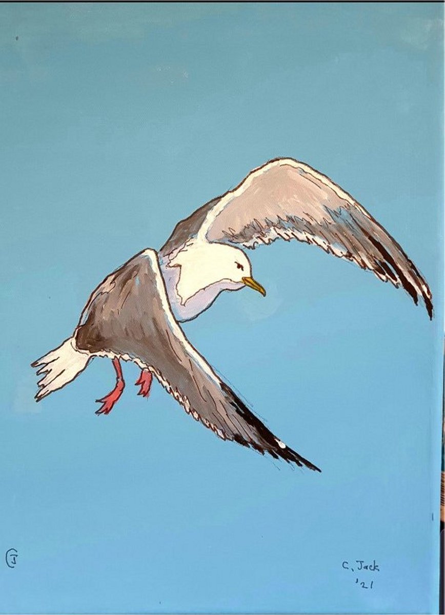 Seagull #9 by Colin Ross Jack